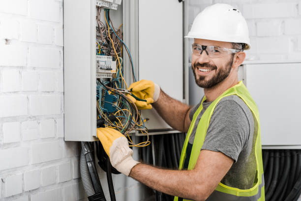 Best Electrician for Home Renovation  in Hainesvle, IL