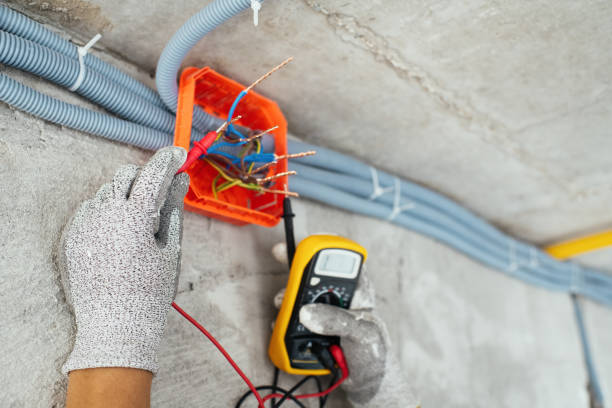 Best Residential Electrician Services  in Hainesvle, IL