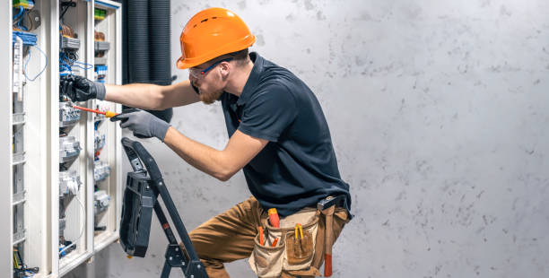 Best Electrical Repair Services  in Hainesvle, IL